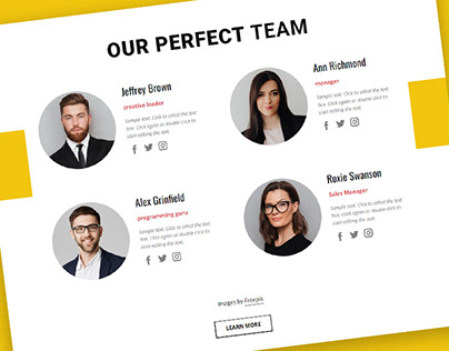 Website Team Sections