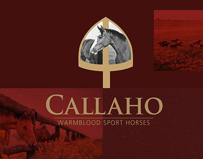 Callaho Website Redesign