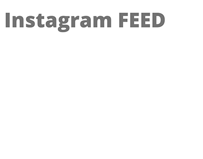 Instagram FEED