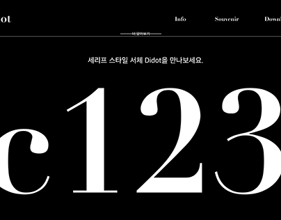 2023-1 Didot 서체 소개 웹페이지 디자인
