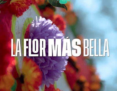 La flor más bella -Xochimilco- Edición y Motion G