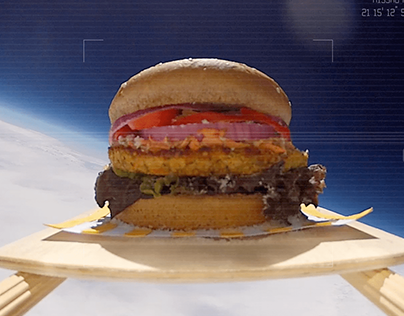 1st Vegan Hareburger into Space - Video case
