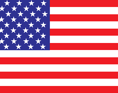 Class 8 - Illustrator American Flag