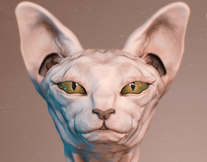 Sphynx Project