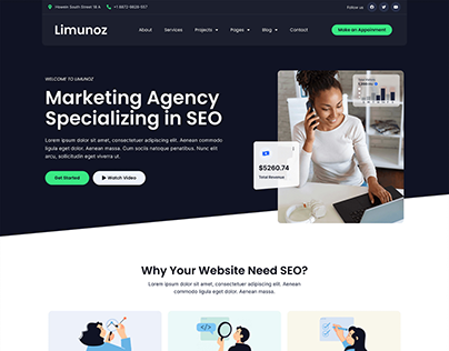 Limunoz - Digital Marketing & SEO Agency Website