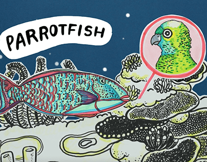 Parrotfish - AIDA International