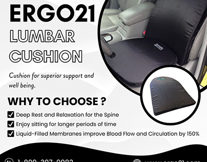 Ergo21 Lumbar Cushion Support | Boost Blood Flow