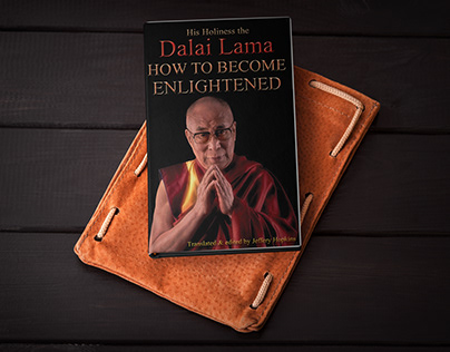 Dalai Lama Book