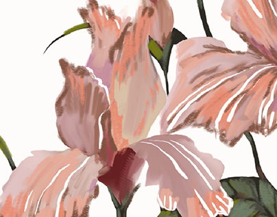 Flowers. Iris