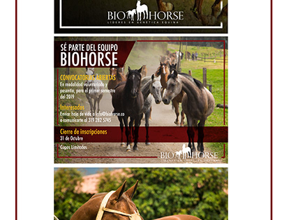 Bio Horse