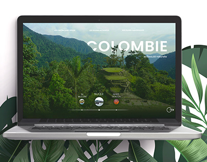 Website design Colombia