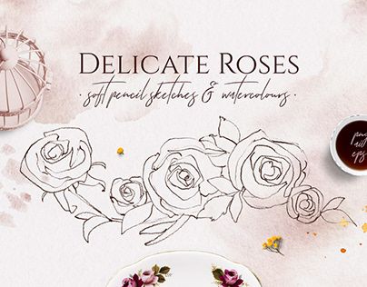 Delicate Roses Pencil Sketches Collection