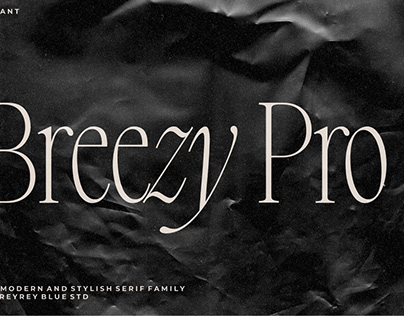 Breezy Pro - Vintage Serif Font
