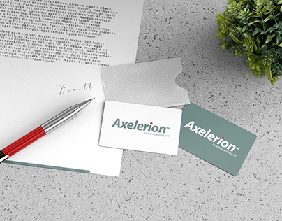 AXELERION Consulting and Beyond grup
