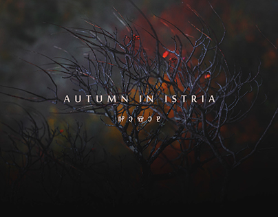 Istrian Autumn 2016