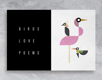 Birds Love Poems