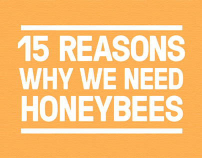 15 reasons why we need honeybees