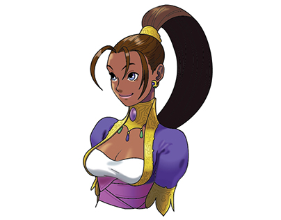 Pullum, character vector of Street Fighter videogames