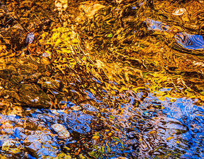 Golden Fall Reflections