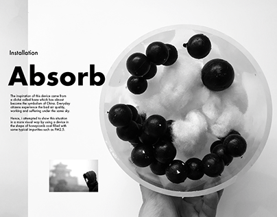 Installation: Absorb