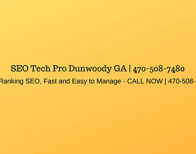SEO Tech Pro Dunwoody GA