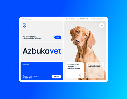 Azbukavet | Website and branding