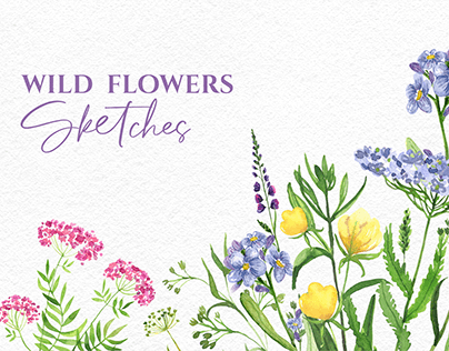 Wild flowers watercolor