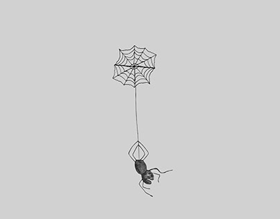 Illustration - Invasive Spider.