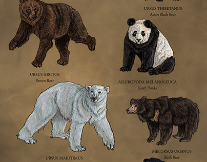 "Bears of The World" digital drawing