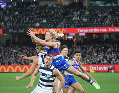 2023 AFL Round 12 Western Bulldogs vs Geelong Cats