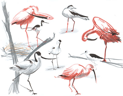 ZOO sketches, July 2023