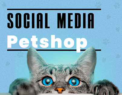 Social Media | Petshop