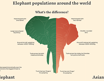 Elephant populations around the world