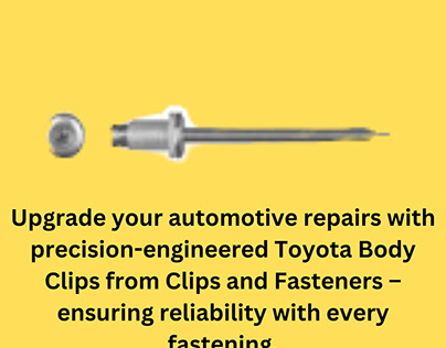 Toyota Body Clips by Clips and Fasteners