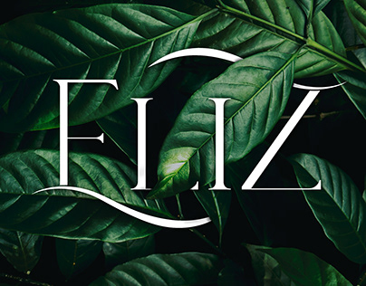 ELIZ Logo Design
