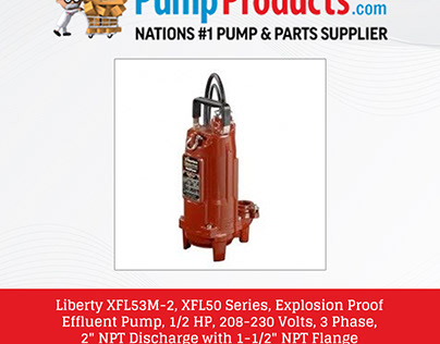 Liberty Explosion Proof Pump