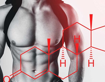 Choosing the Right Testosterone Supplements!