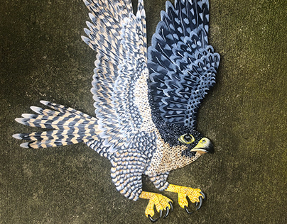 Life Size Peregrine Falcon