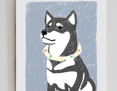 Portrait of a dog with a seven-colored collar