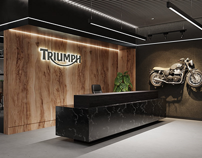 Modern - Industrial Office (Triumph Office)