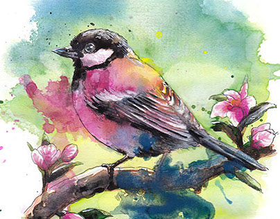 Watercolour birds
