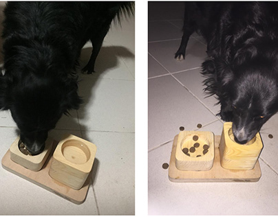 Deuce - Dog Water & Food Bowl