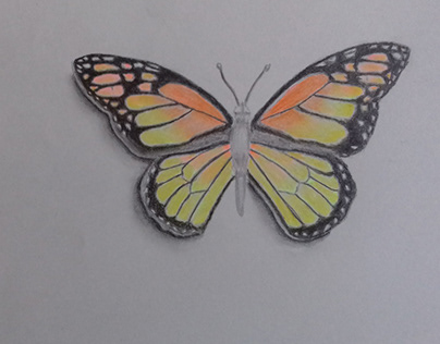 Butterflies - work in progress