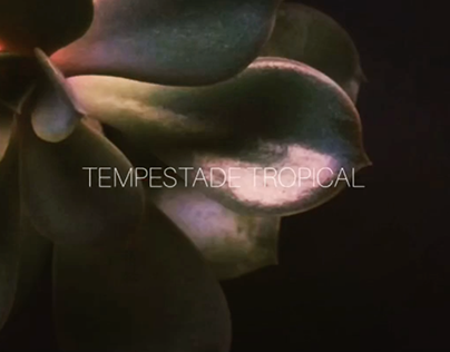 Teaser Stop Motion - "Tempestade Tropical"