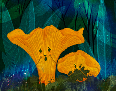 mushrooms illustrations set