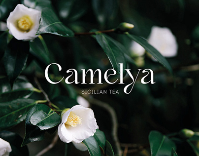Camelya Sicilian Tea / Packaging