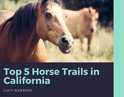 Top 5 Horse Trails in California