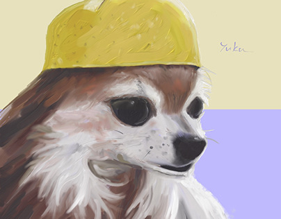 帽子被った茶色ちゃん My dog in a hat