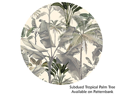 Subdued Tropical Palm Tree