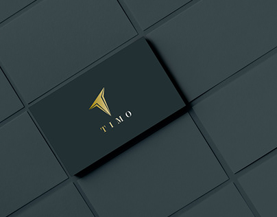 Project thumbnail - Timo logo